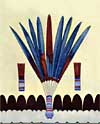 The Peyote Ritual - Monroe Tsa Toke - The Flower of Dawn